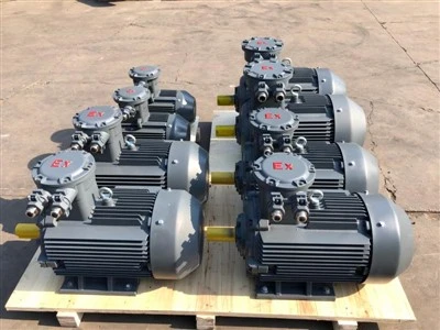 22kw 4P eksplosjonssikker motor
