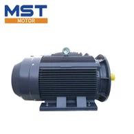 Squirrel Cage induksjonsmotor