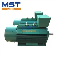 Squirrel Cage Rotor Motor